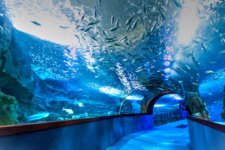 Aquarium de San Sebastian