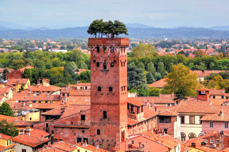 Torre de Guinigi, Lucca, Toscana, Italia
