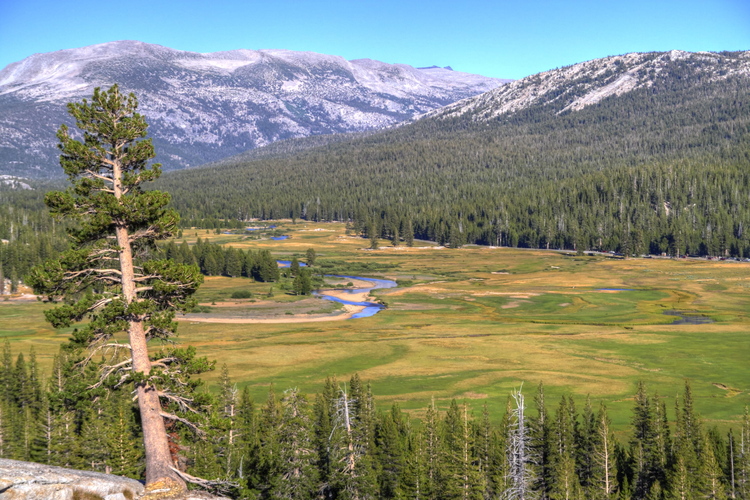 Tuolumne Meadows, Yosemite, California