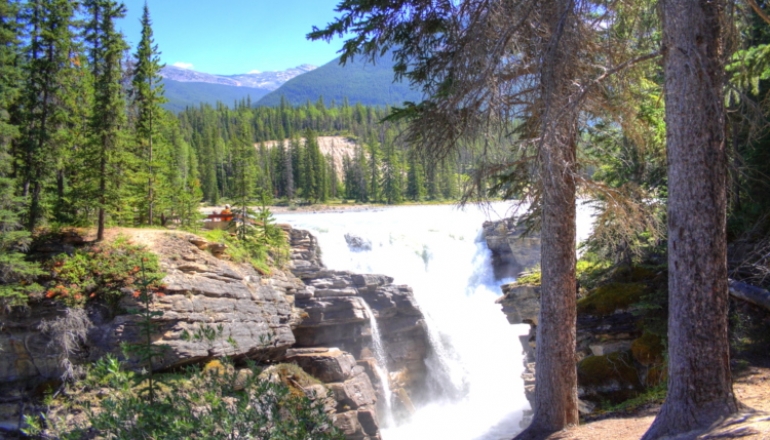 Cascadas de Athabasca Cascadas de Athabasca en Jasper National Park