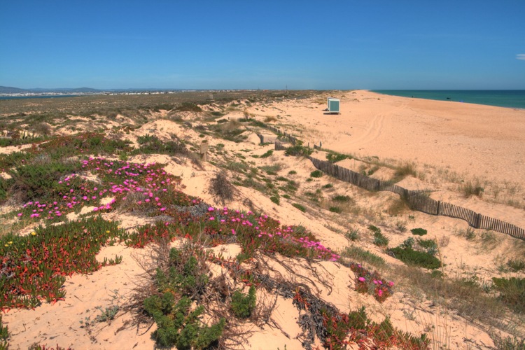 Playa de la Isla de Farol, Ria Formosa, Algarve, Portugal