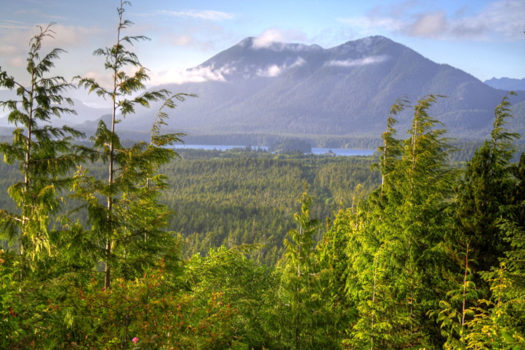 Vista desde Radar Hill, Isla de Vancouver, Pacific Rim, British Columbia, Canada